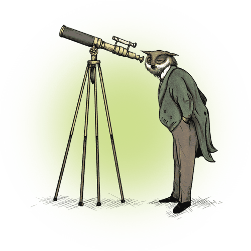 Owl seo section